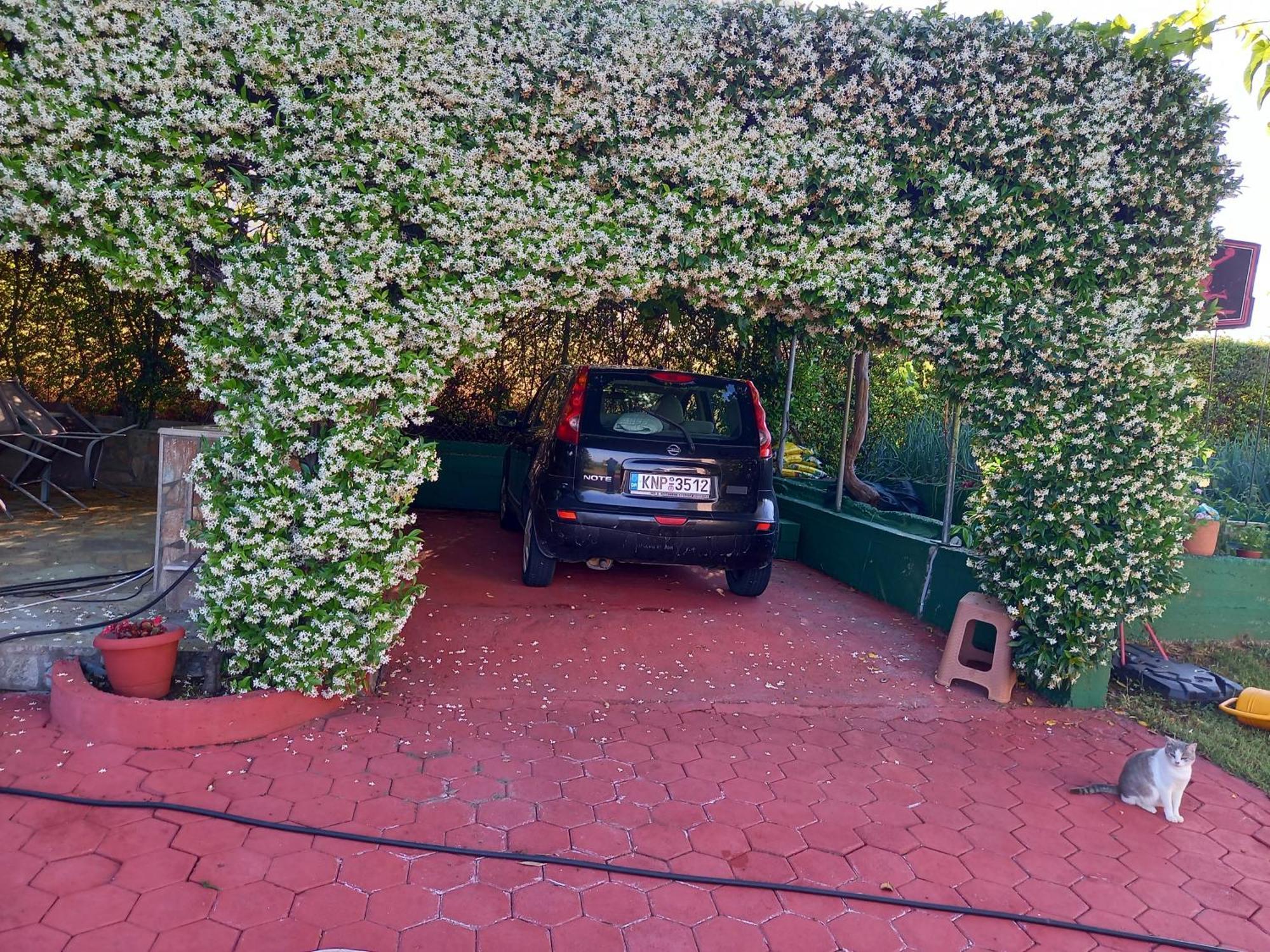 Tammy'S Garden House Villa Лептокария Екстериор снимка