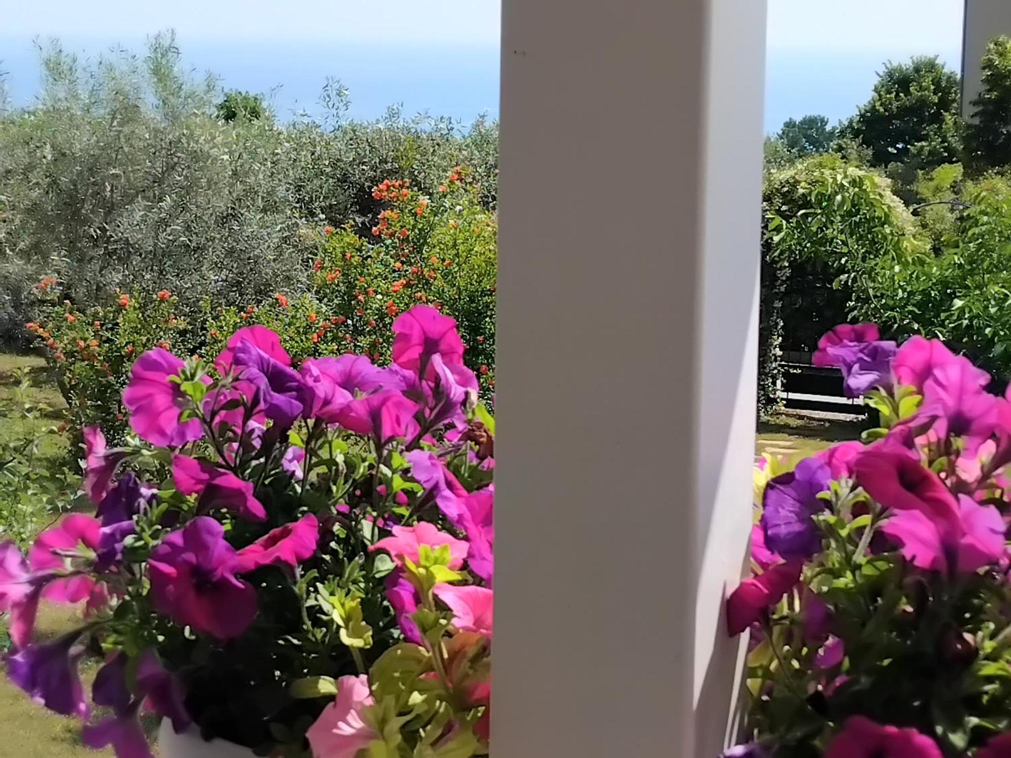 Tammy'S Garden House Villa Лептокария Екстериор снимка