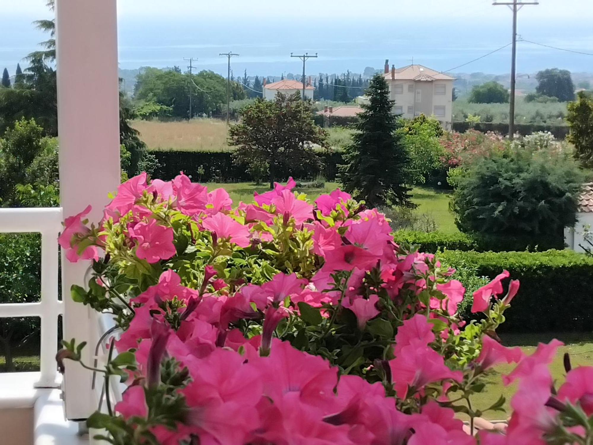 Tammy'S Garden House Villa Лептокария Екстериор снимка