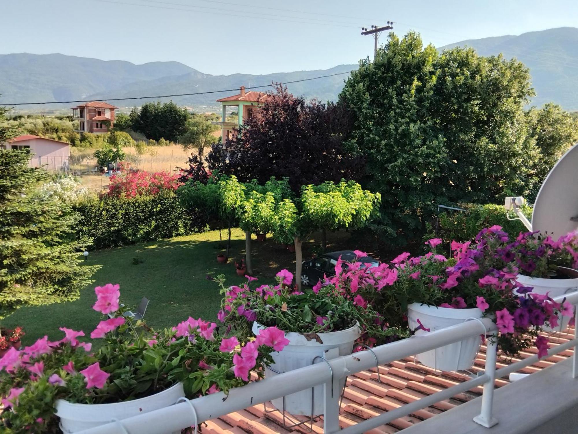 Tammy'S Garden House Villa Лептокария Екстериор снимка
