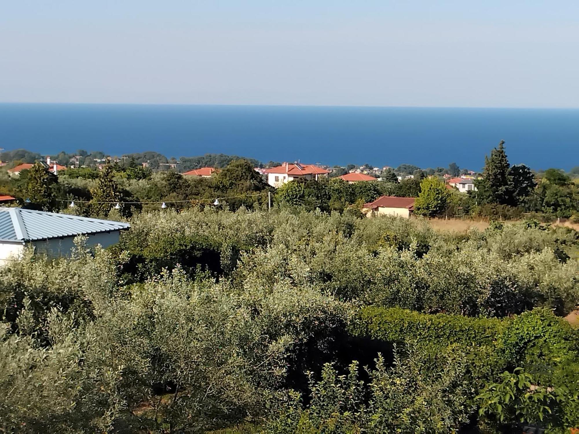 Tammy'S Garden House Villa Лептокария Екстериор снимка