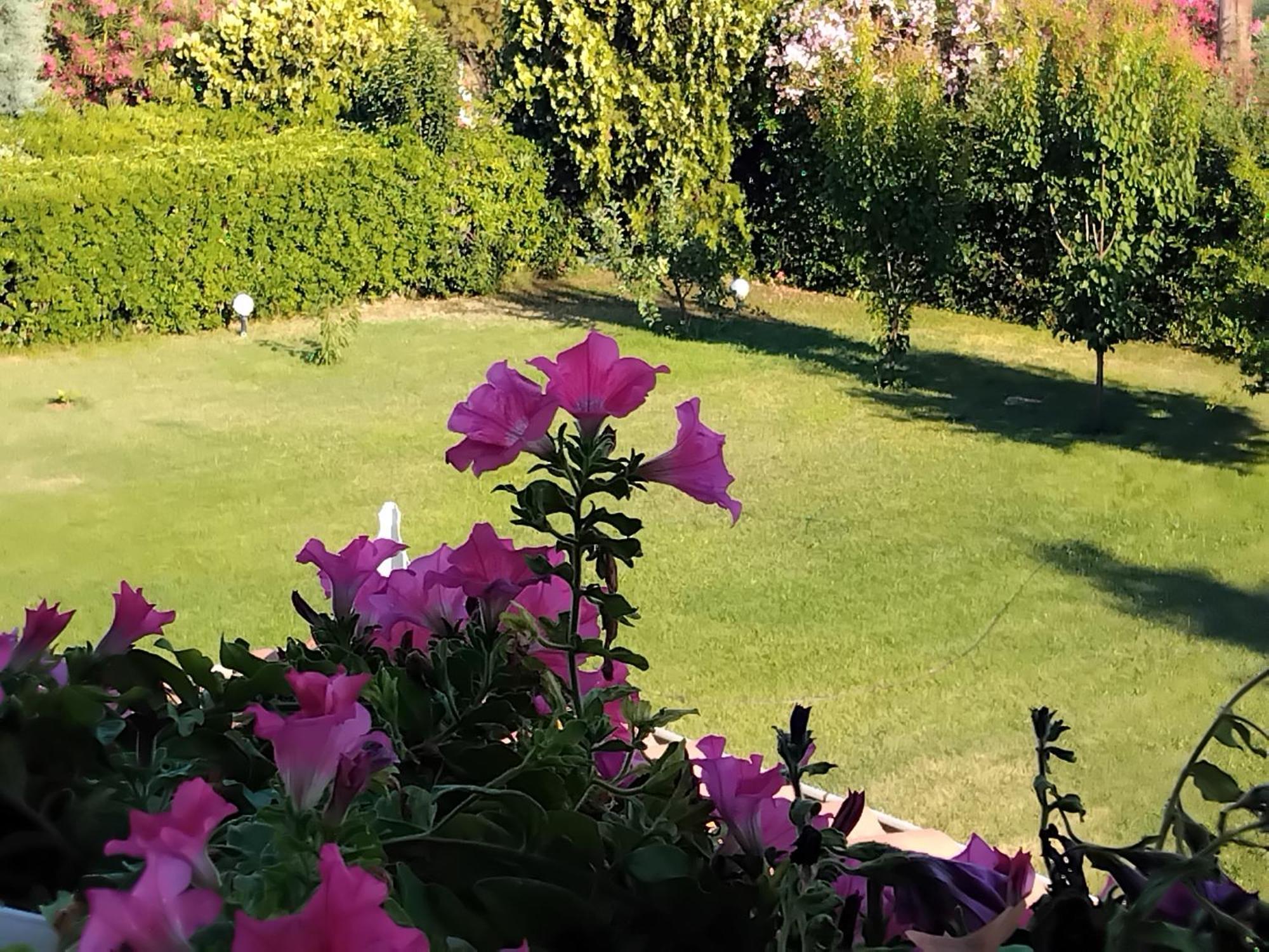 Tammy'S Garden House Villa Лептокария Екстериор снимка