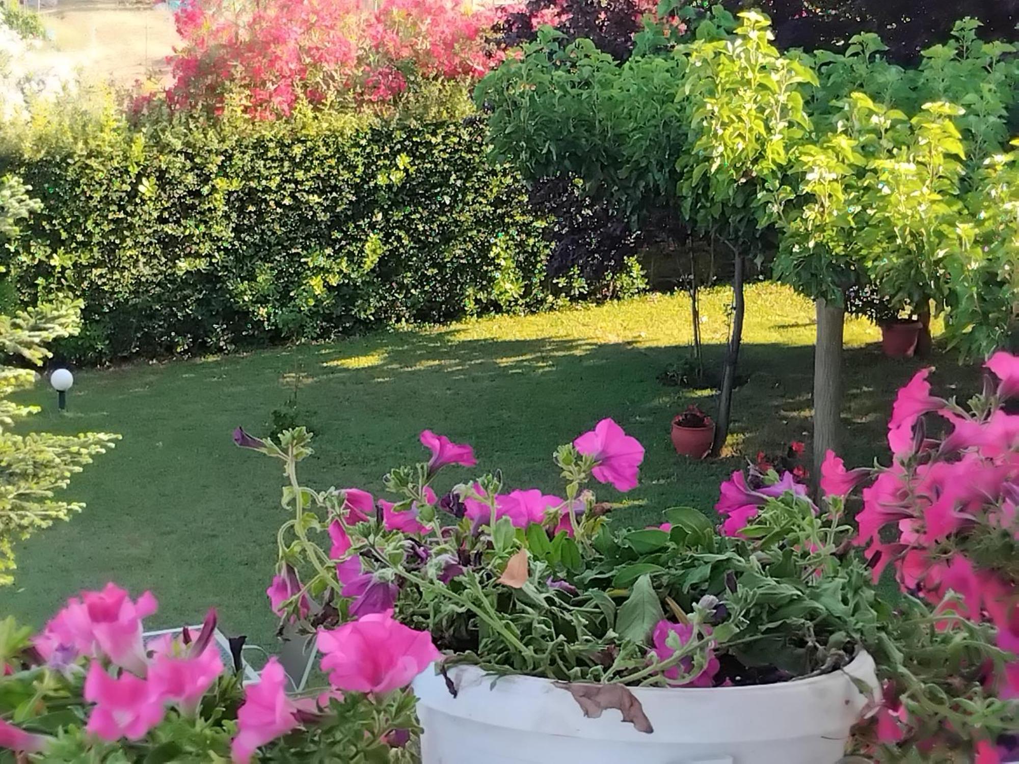 Tammy'S Garden House Villa Лептокария Екстериор снимка