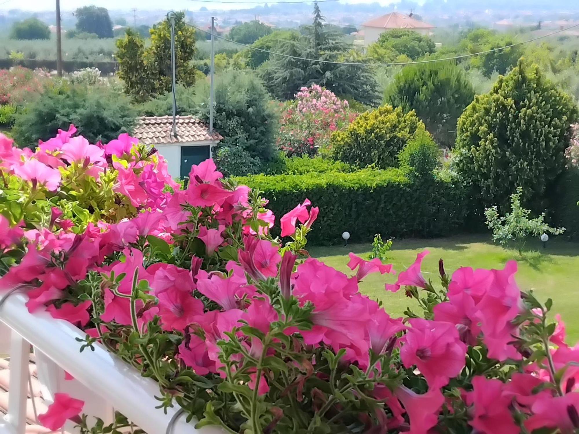 Tammy'S Garden House Villa Лептокария Екстериор снимка