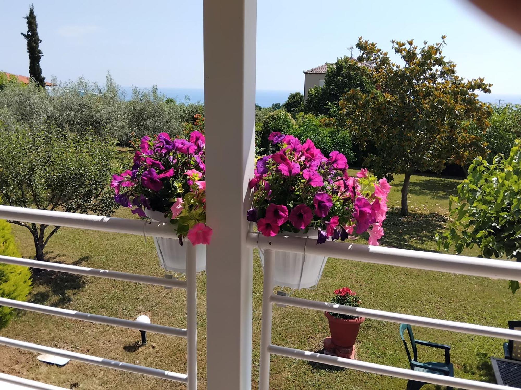 Tammy'S Garden House Villa Лептокария Екстериор снимка