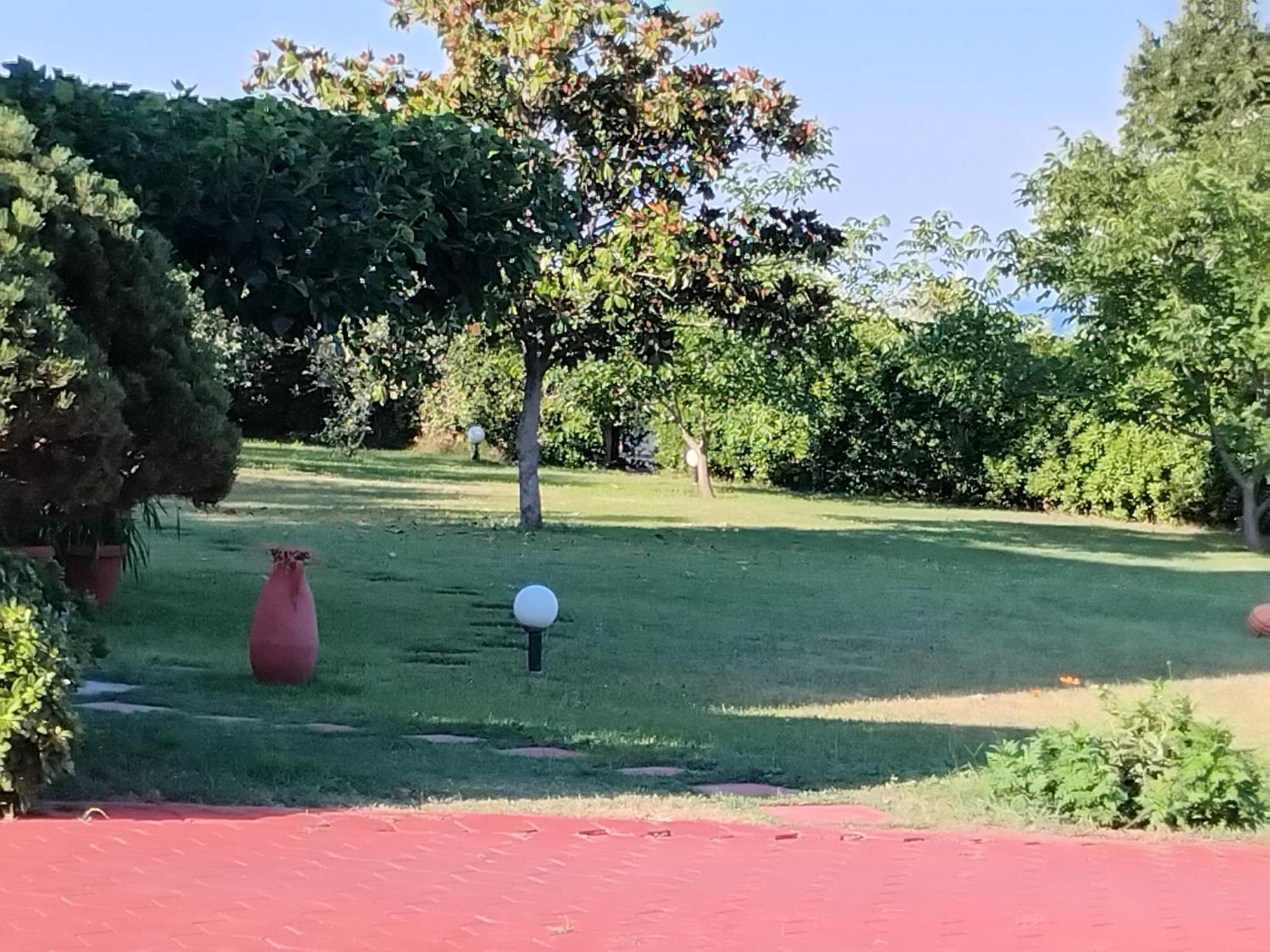 Tammy'S Garden House Villa Лептокария Екстериор снимка