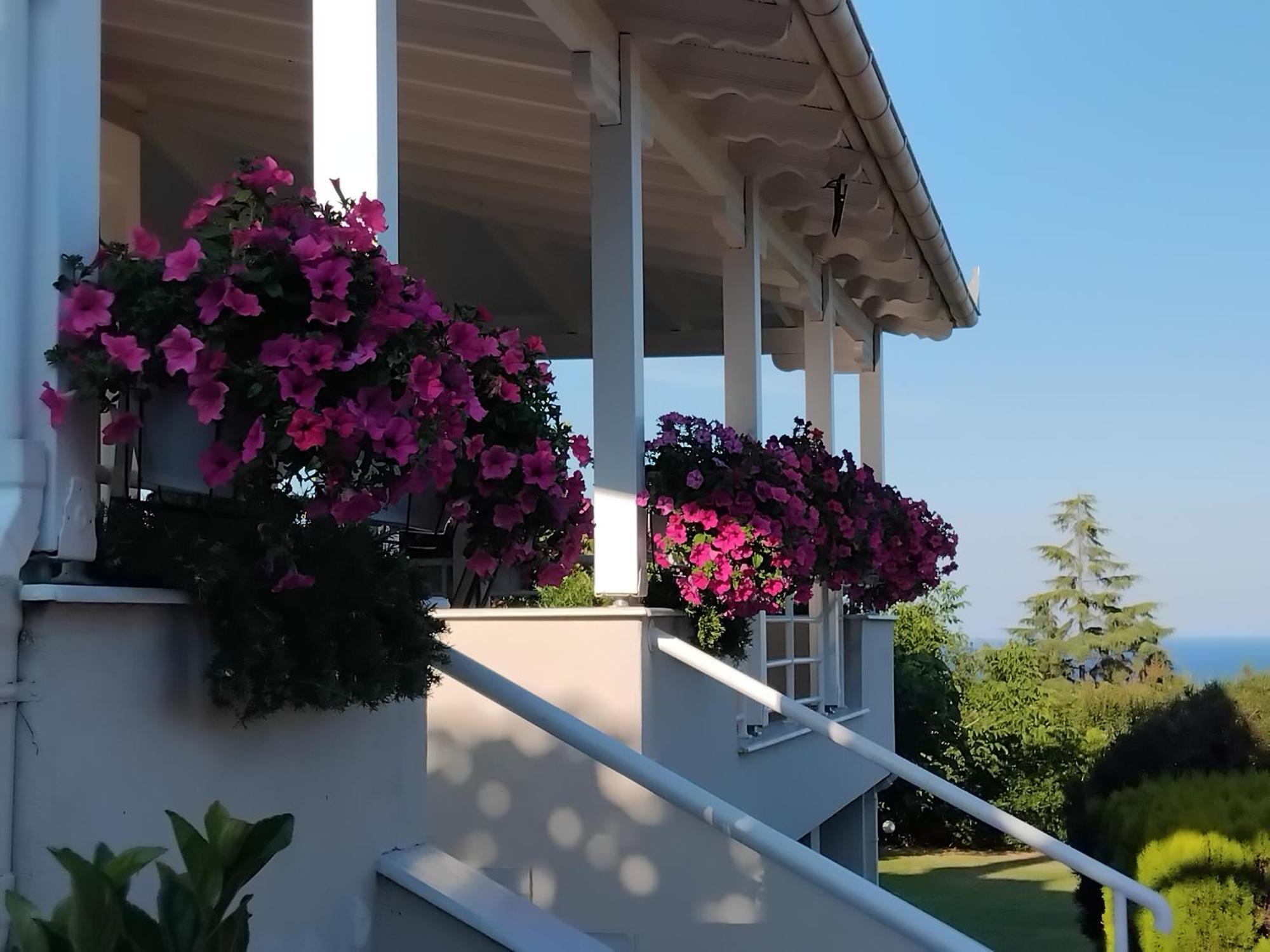 Tammy'S Garden House Villa Лептокария Екстериор снимка