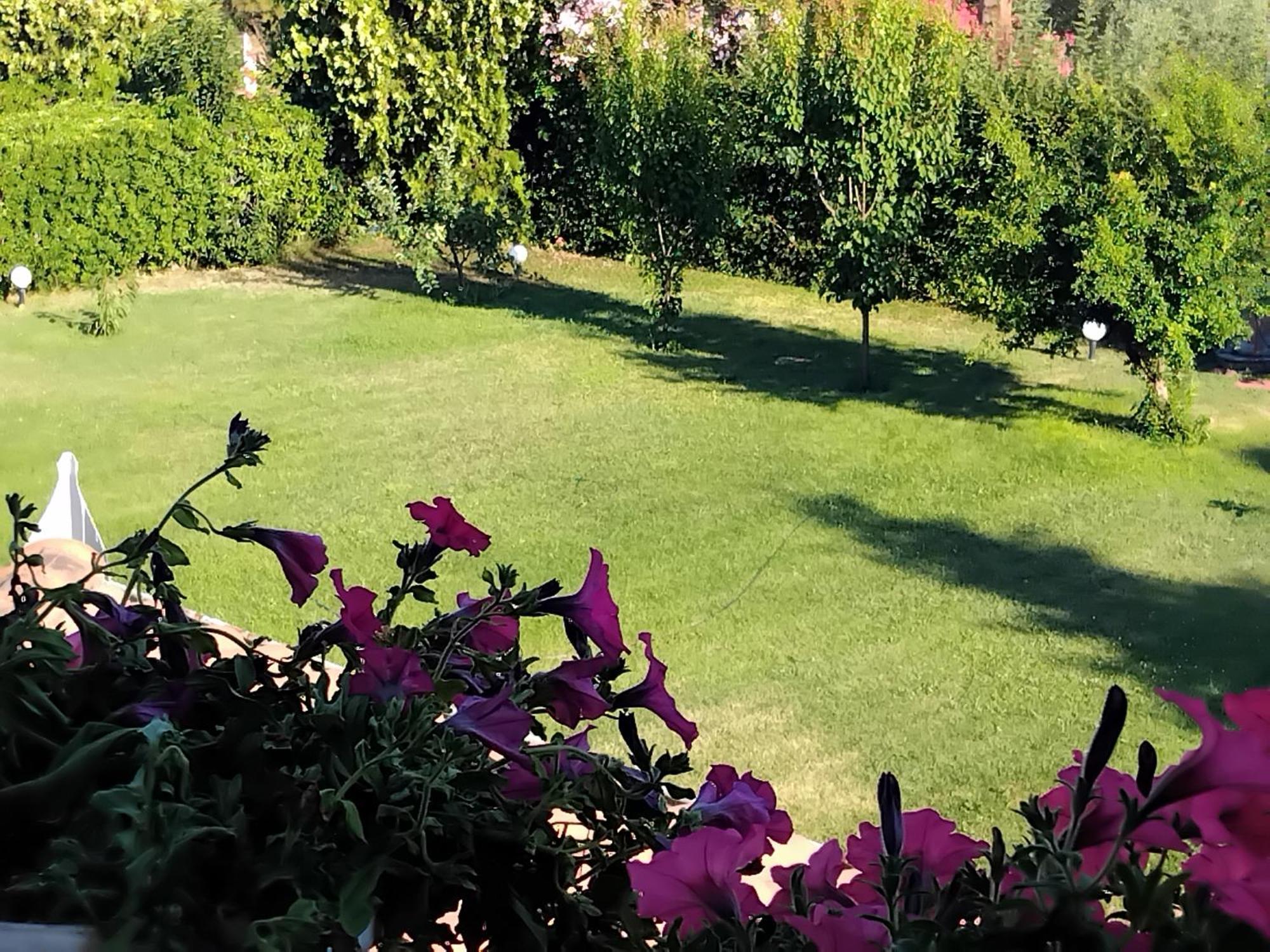 Tammy'S Garden House Villa Лептокария Екстериор снимка