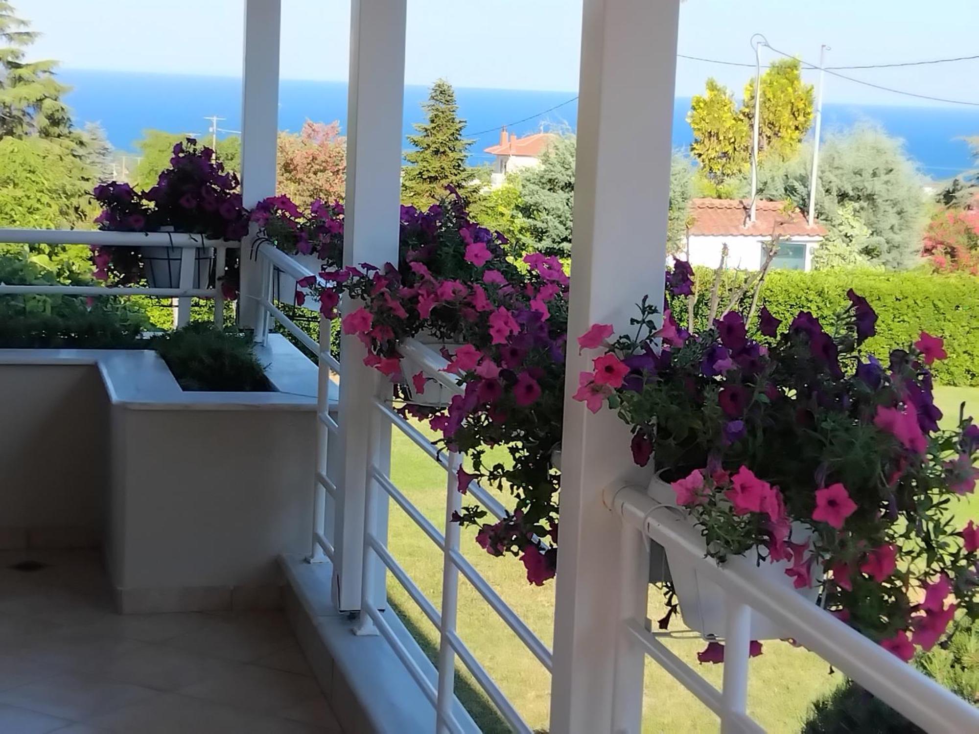 Tammy'S Garden House Villa Лептокария Екстериор снимка